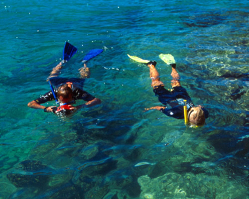 Toucans tours in guanacaste area, costa rica